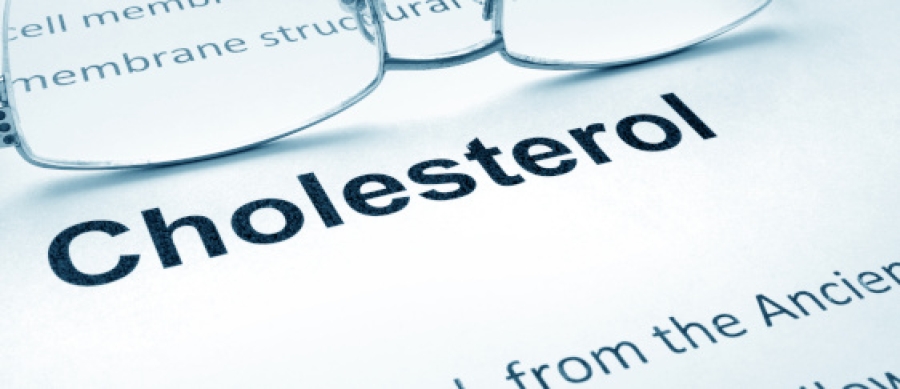 Nuevo Reglamento que permite una declaración de propiedades saludables para reducir el colesterol LDL
