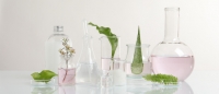 Criterios de identidad y pureza de los ingredientes de origen vegetal en los complementos alimenticios