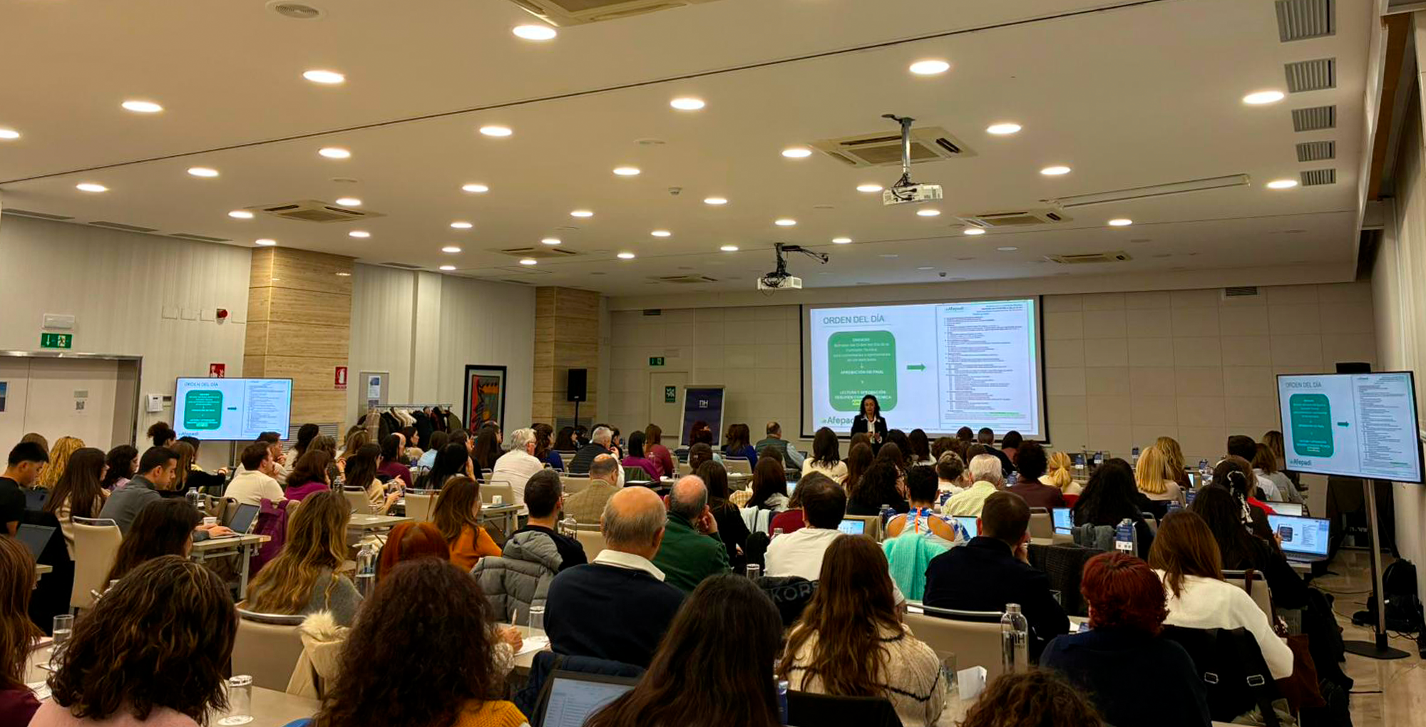 comisión técnica afepadi barcelona 2025